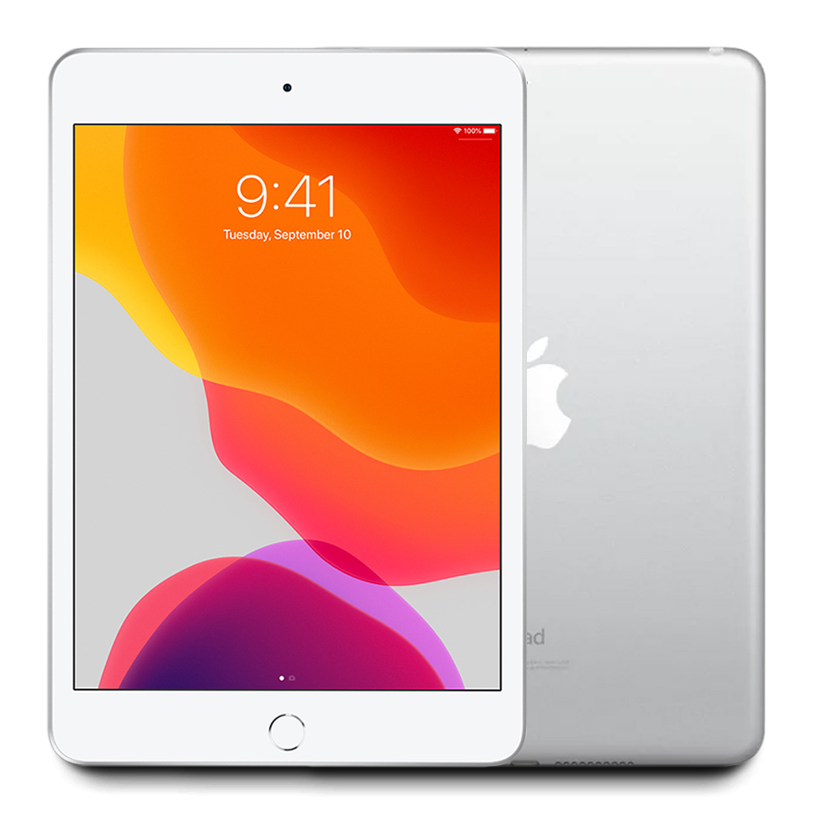 2019 - iPad Mini 5th Gen 7.9